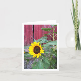 Carte pour notes de ferme de tournesol