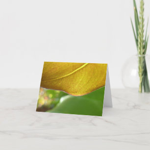 Carte pour notes de feuille d'or