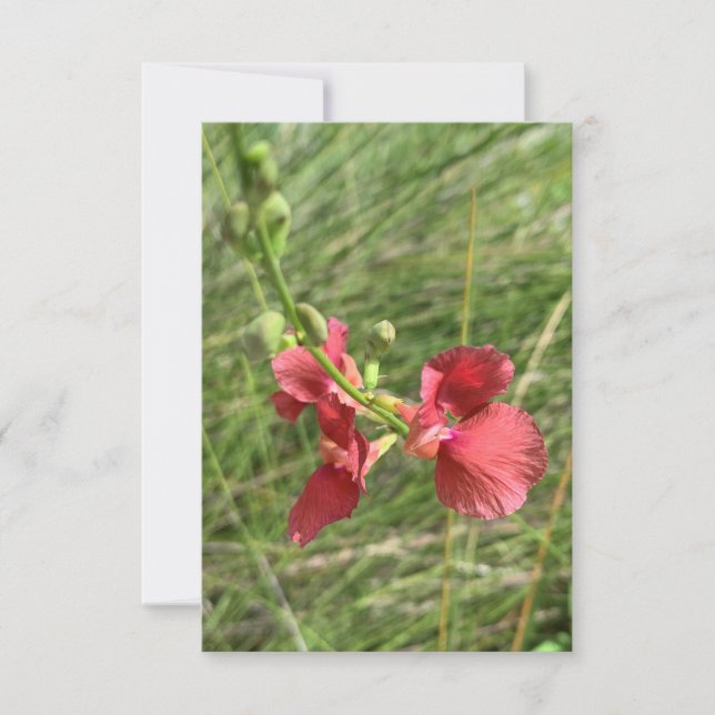 Carte pour notes de fleurs (Devant)