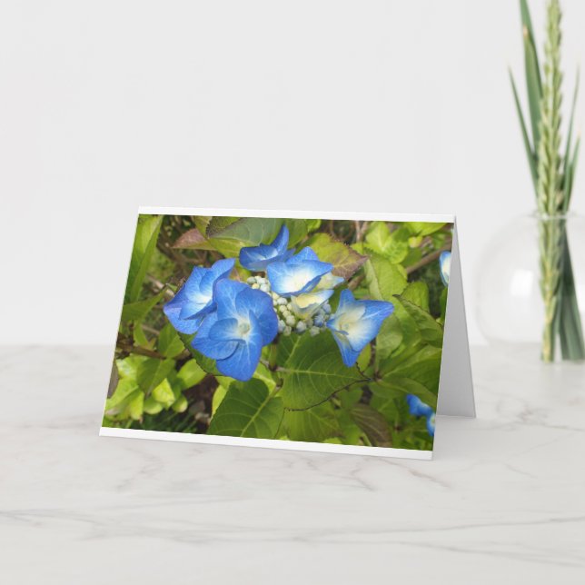 Carte pour notes de fleurs bleues (Devant)