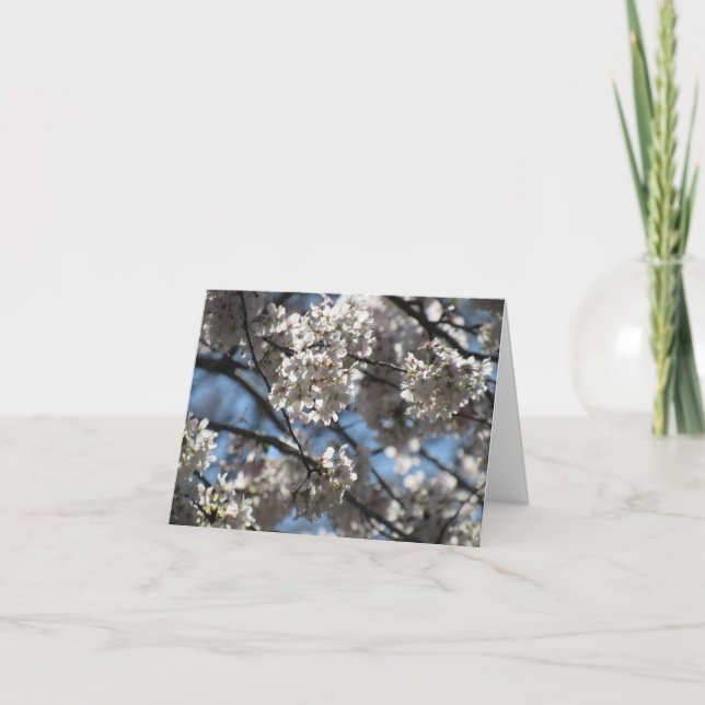 Carte pour notes de fleurs de cerisier illuminé (Devant)