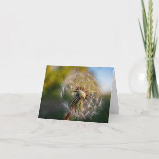 Carte pour notes de Fluffball de pissenlit