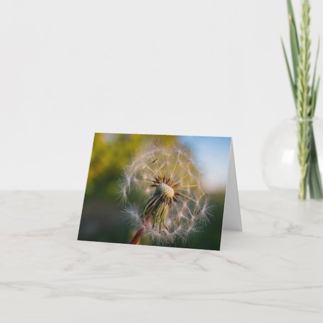 Carte pour notes de Fluffball de pissenlit (Devant)