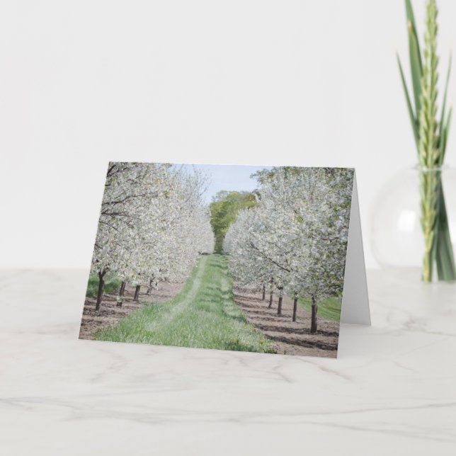 Carte pour notes de la cerise du comté de Door (Devant)