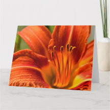 Carte pour notes de la Lily du Jour Orange