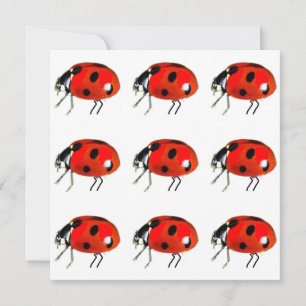 Carte pour notes de Ladybugs