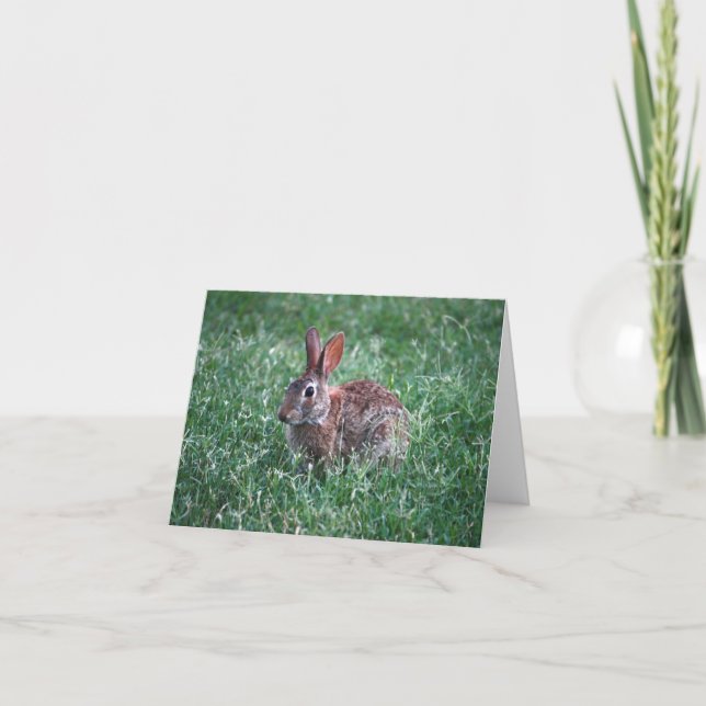 Carte pour notes de lapin (Devant)