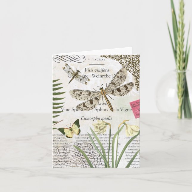 carte pour notes de libellules vintages (Devant)