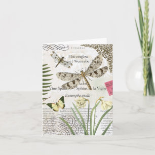 Carte pour notes de libellules vintages