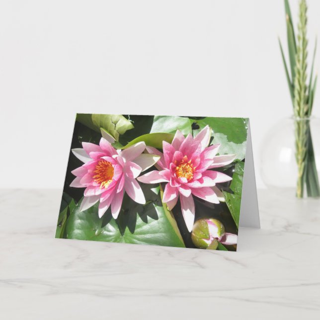 Carte pour notes de Lillies d'étang (Devant)