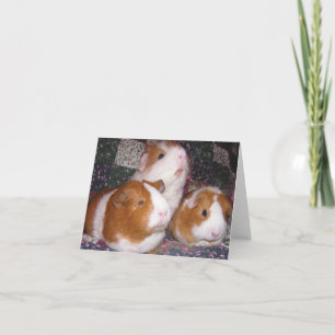 Carte pour notes de Minerva et d'amis