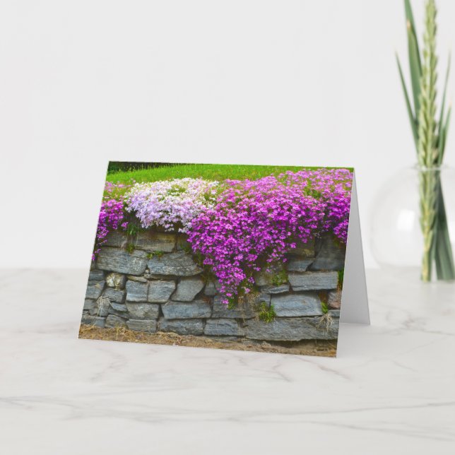 Carte pour notes de mur de pierre de Phlox (Devant)