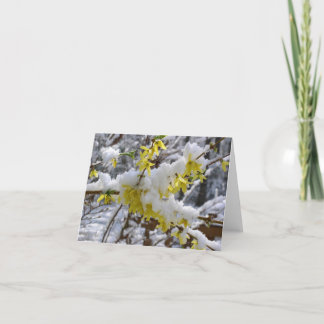 Carte pour notes de neige de ressort