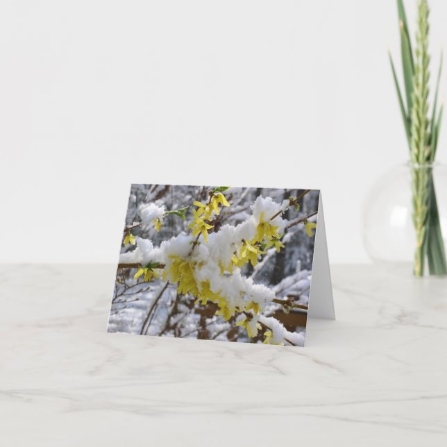 Carte pour notes de neige de ressort (Devant)