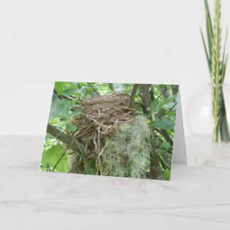 Carte pour notes de nid d'oiseaux
