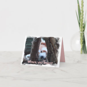Carte pour notes de panda rouge : "Où vous étés ?