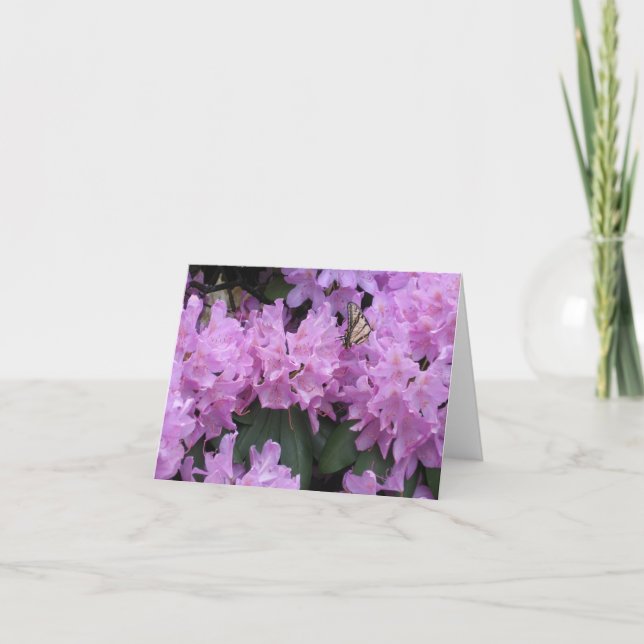 Carte pour notes de papillon (Devant)