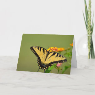 Carte pour notes de papillon Swallowtail