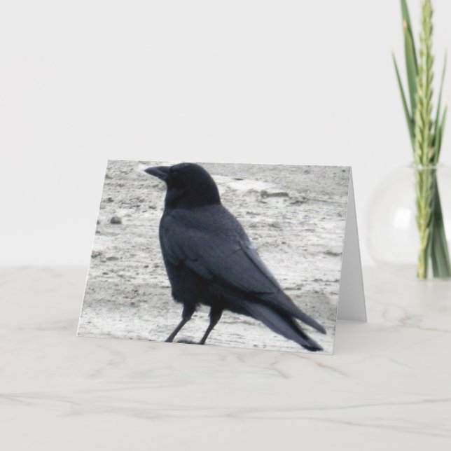 Carte pour notes de Raven de plage (Devant)