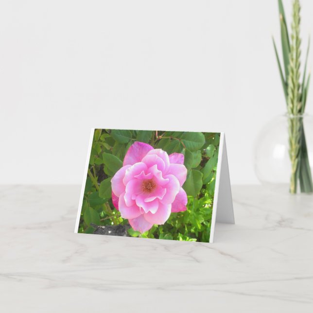 Carte pour notes de rose de rose (Devant)