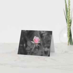 Carte pour notes de rose de rose (blanc à