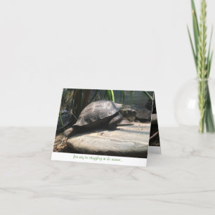 carte pour notes de tortue de bébé (encouragement)