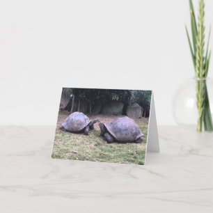 carte pour notes de tortue de Galapagos