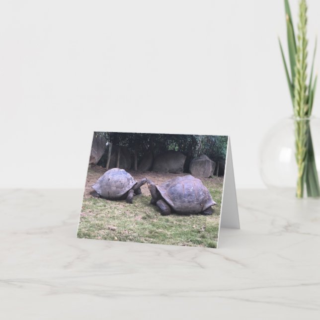 carte pour notes de tortue de Galapagos (Devant)