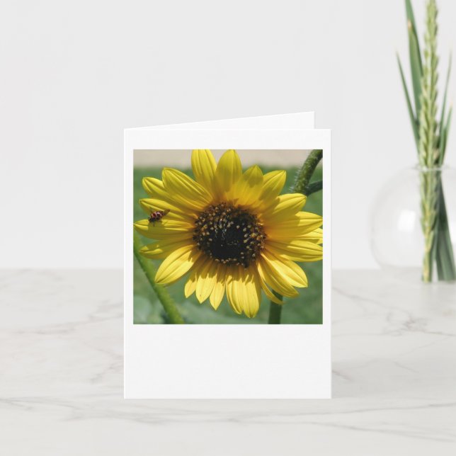 Carte pour notes de tournesol 2 (Devant)