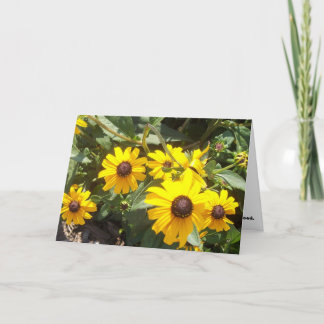 Carte pour notes de tournesols