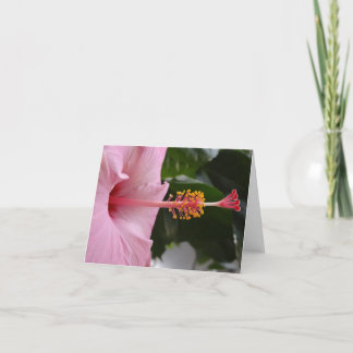 Carte pour notes d'Hibiscus rose