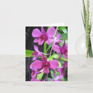 Carte pour notes d'orchidée