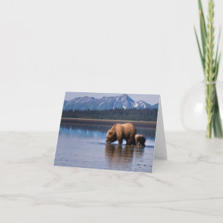 Carte pour notes d'ours gris
