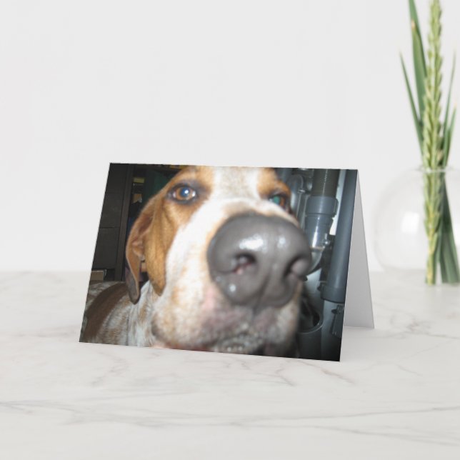 Carte pour notes du nez du chien (Devant)