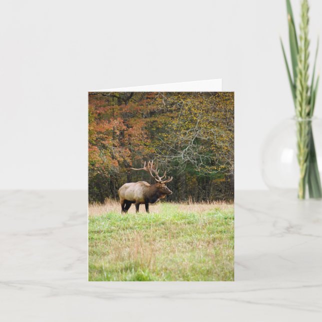 Carte pour notes Elk (Devant)