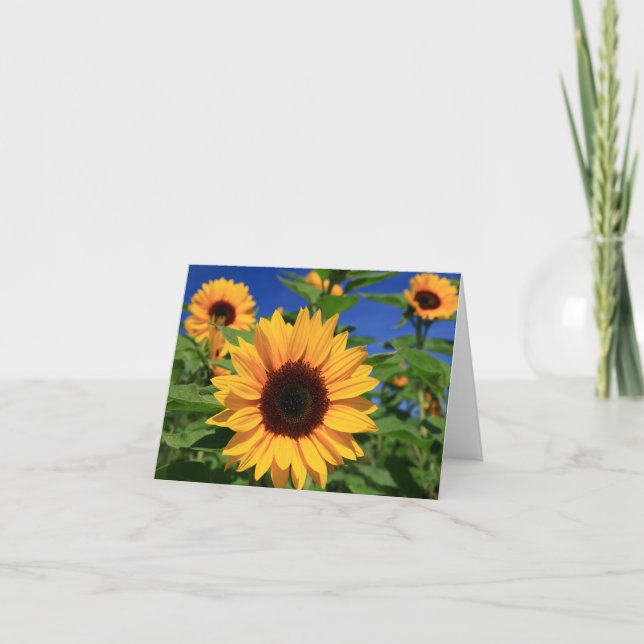 Carte pour notes flanc de tournesol jaune (Devant)