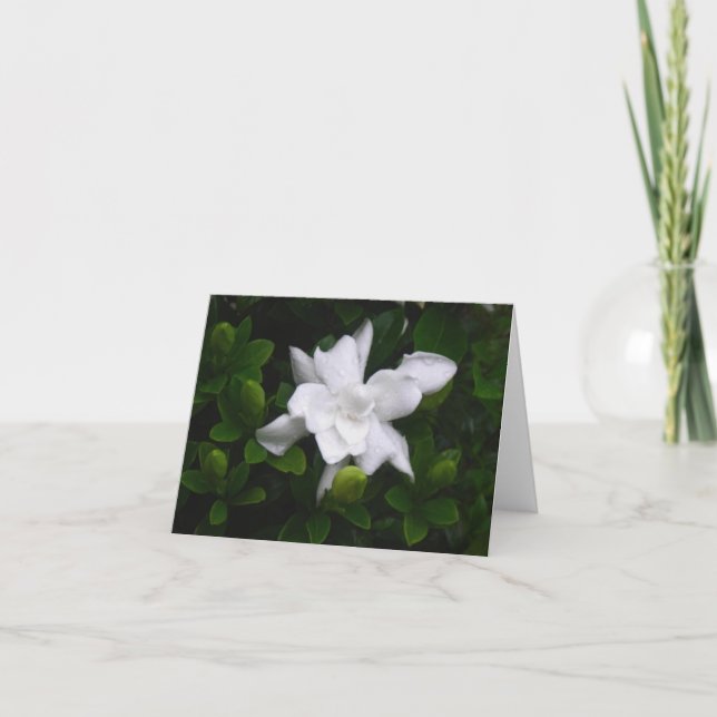 Carte pour notes floral de bourgeonnement de (Devant)