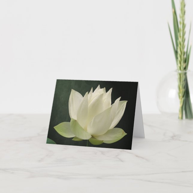 Carte pour notes floral de fleur de Lotus blanc (Devant)