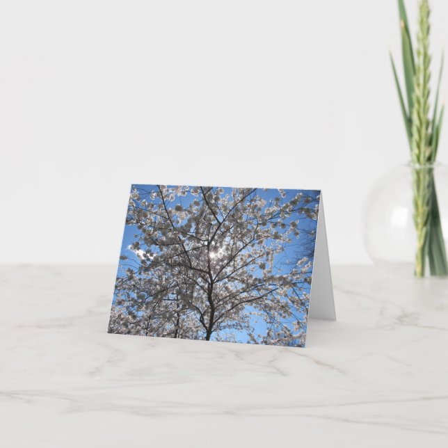 Carte pour notes florissant de fleurs de cerisiers (Devant)