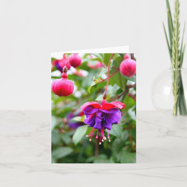 Carte pour notes Fuschia (Devant)