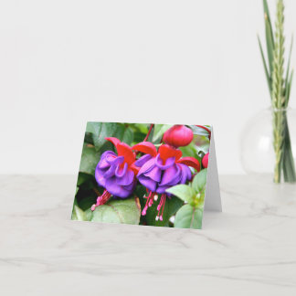 Carte pour notes Fuschia