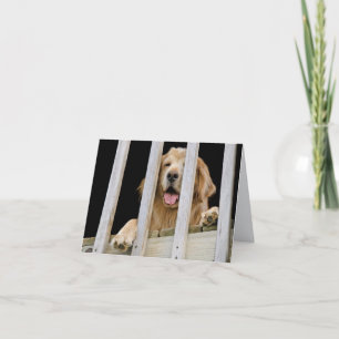 Carte pour notes Golden Retriever