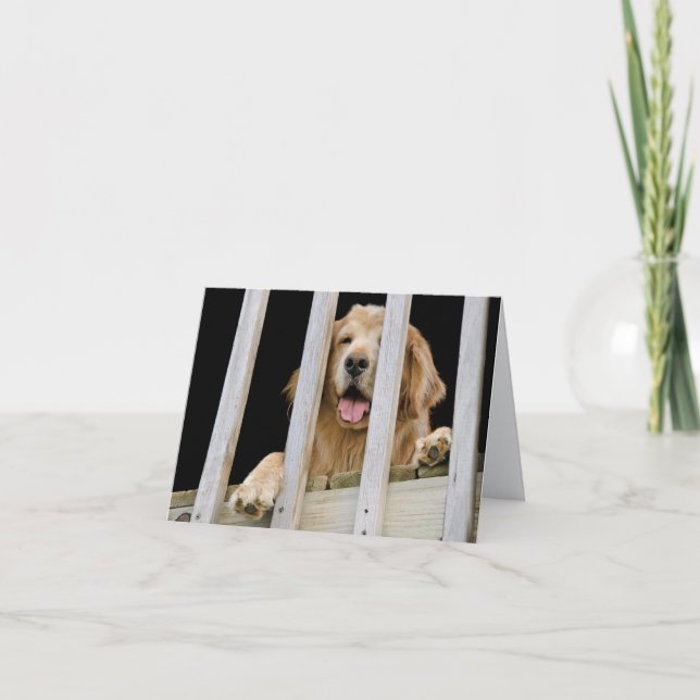 Carte pour notes Golden Retriever (Devant)
