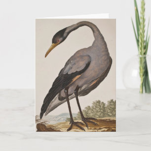 Carte pour notes Heron du XVIIIe siècle