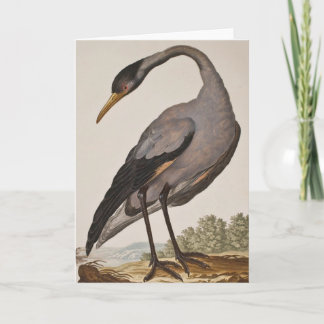 Carte pour notes Heron du XVIIIe siècle