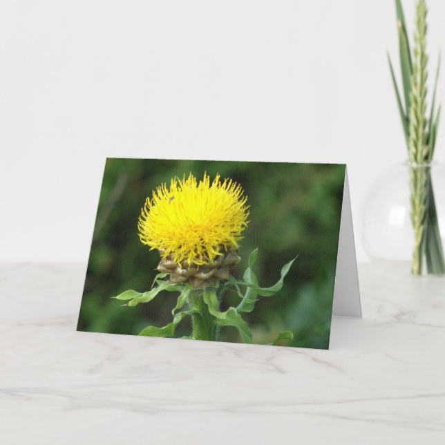 carte pour notes, humour "Comment vas-tu ?" (Devant)
