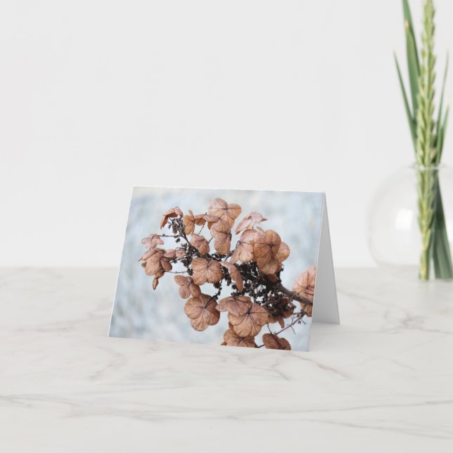 Carte pour notes - Hydrangea en hiver (Devant)