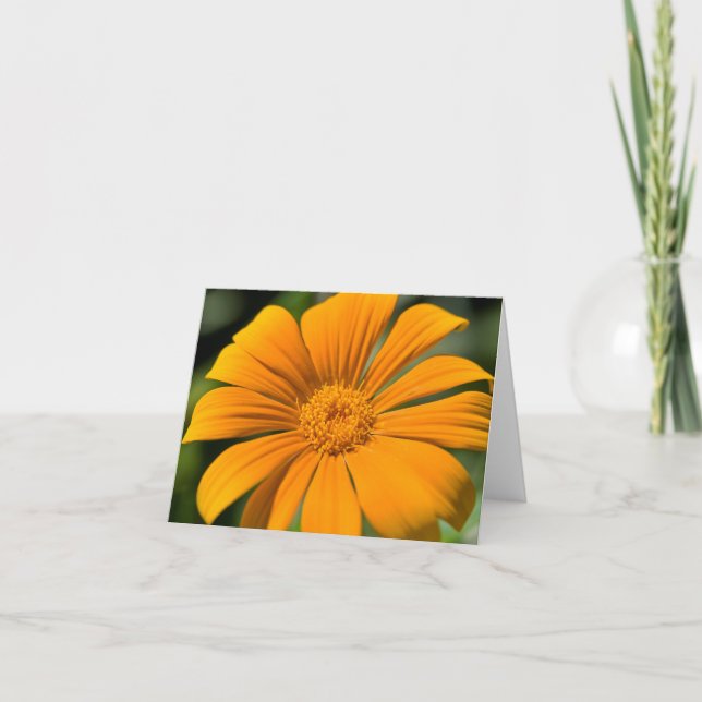 Carte pour notes jaune de fleur de soleil (Devant)
