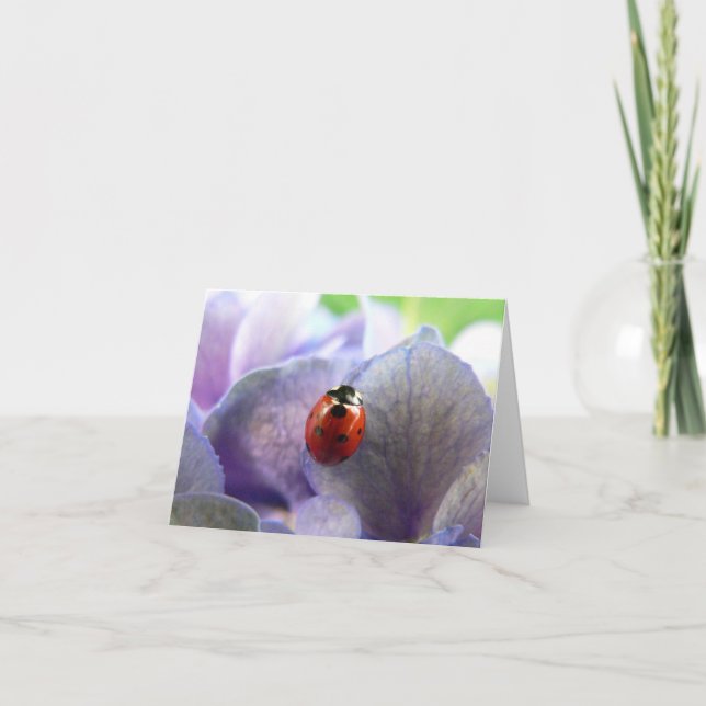Carte pour notes LadyBug (Devant)