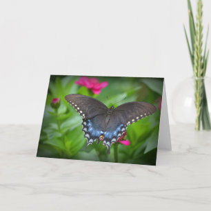 Carte pour notes papillon